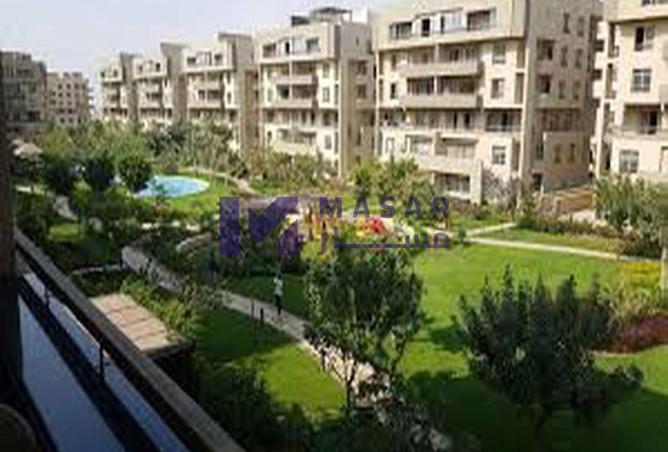 8015935 - صورة العقار 3