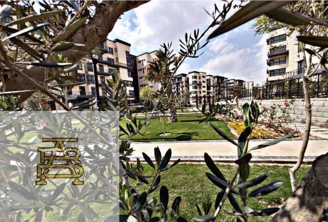 7996283 - صورة العقار 2
