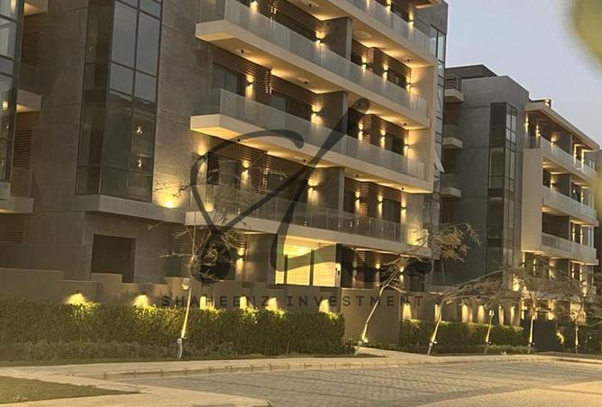 8236230 - Property Image 2