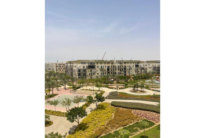 8308658 - Property Image 3