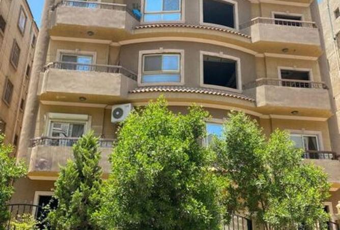7929567 - Property Image 3