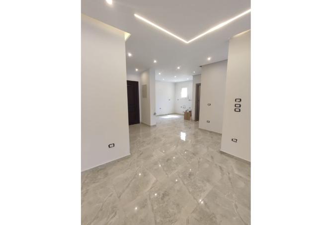 8190785 - صورة العقار 2