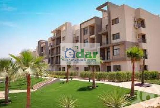 8128325 - Property Image 3
