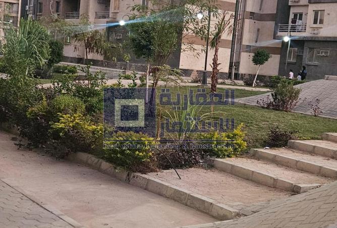 8324358 - Property Image 3