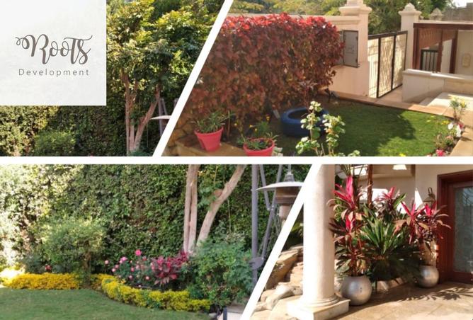 8362982 - صورة العقار 2