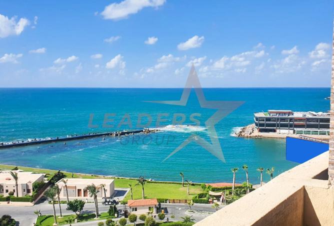 8232626 - صورة العقار 2