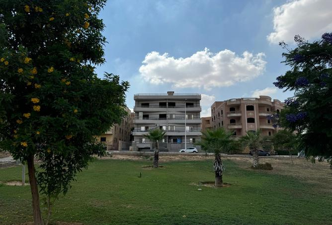 8222491 - صورة العقار 2