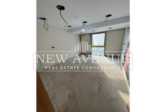 8150461 - Property Image 3