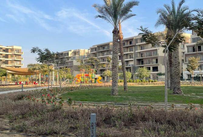 8218024 - صورة العقار 3