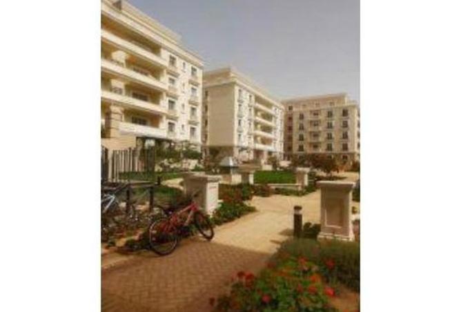 7934870 - Property Image 3