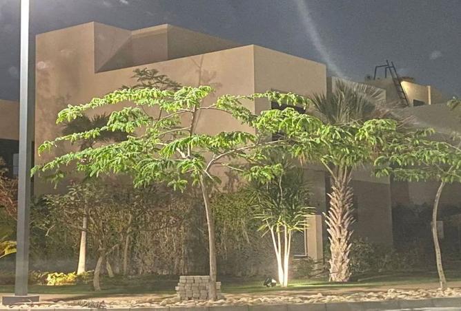 7916803 - صورة العقار 2