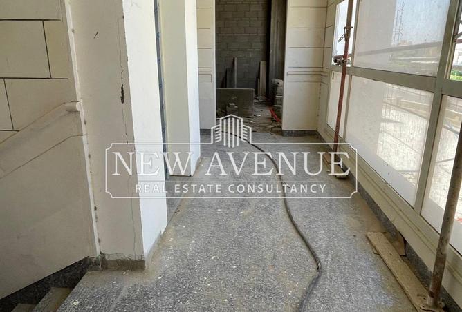 8175444 - Property Image 3