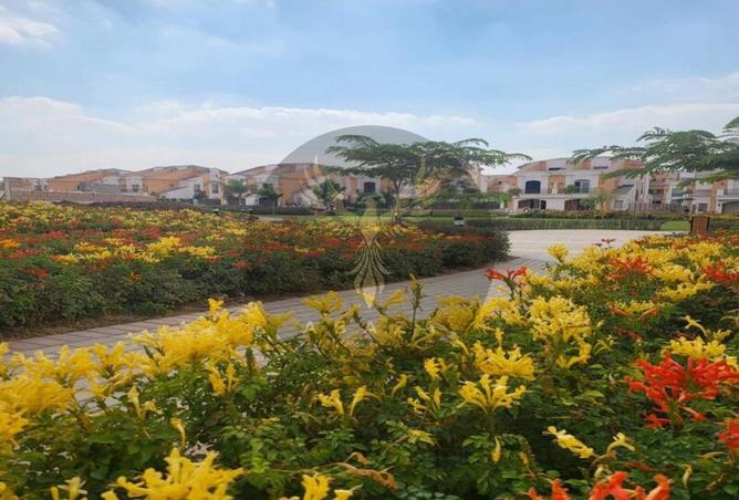 8459866 - Property Image 2