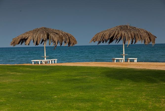 8545730 - الصورة الرئيسية للعقار