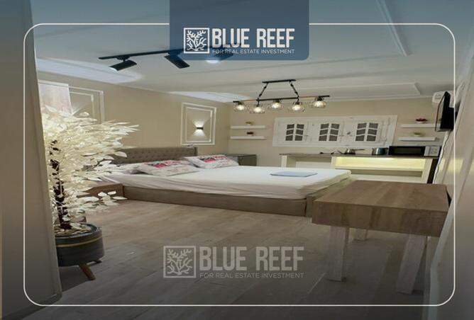 8453397 - Property Image 2