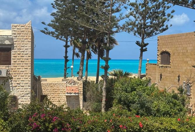 8025642 - الصورة الرئيسية للعقار