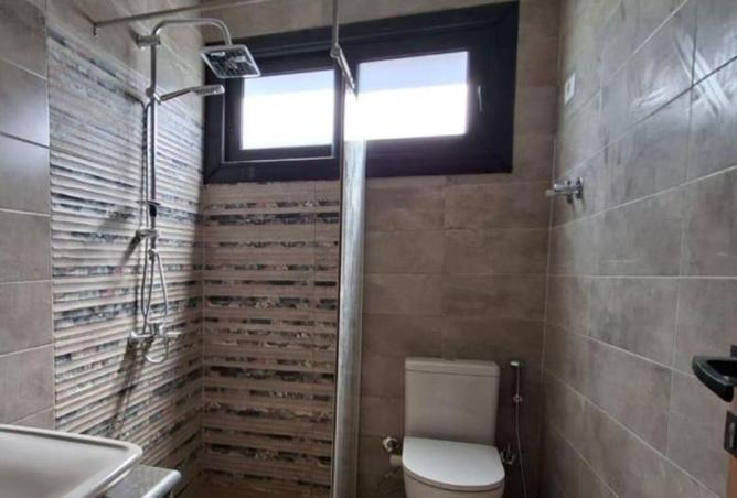 8222618 - Property Image 3