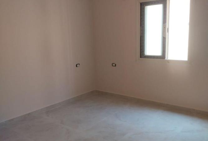 7981202 - Property Image 3