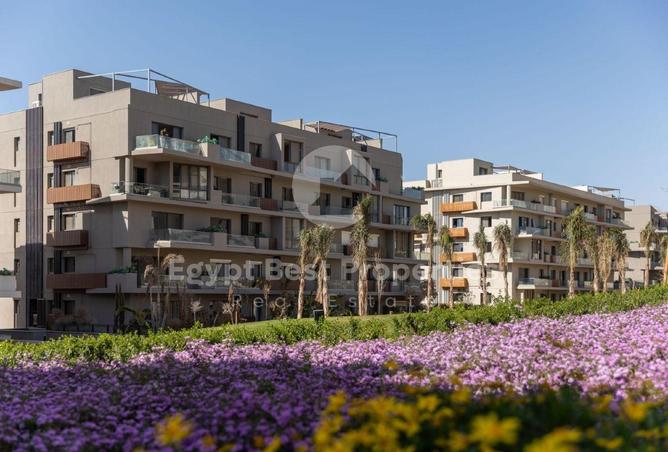 7945984 - Property Image 2