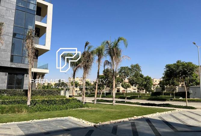 8437416 - Property Image 3