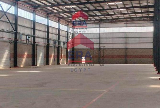 8095596 - صورة العقار 2