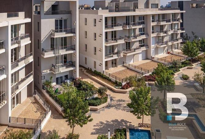 8016043 - Property Image 3