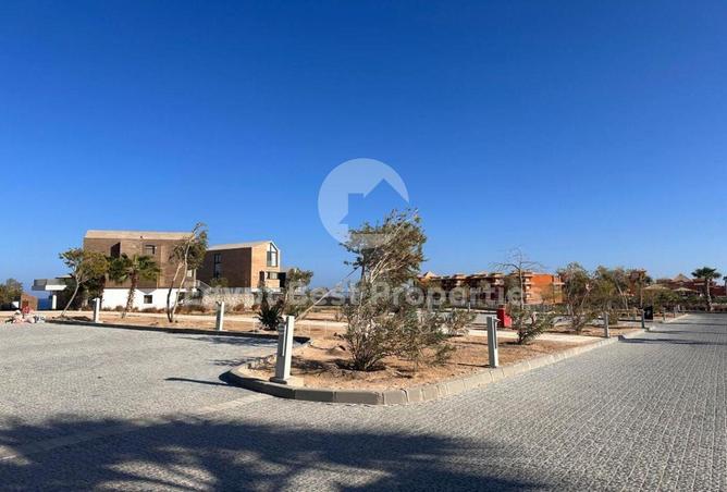 7906059 - صورة العقار 2