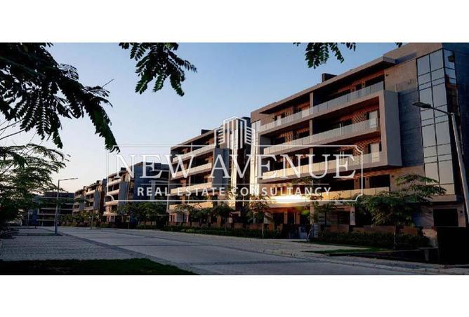 8318486 - Property Image 2