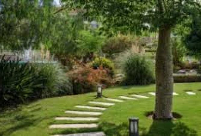 8539205 - Property Image 3