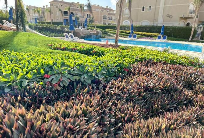 8171199 - صورة العقار 3