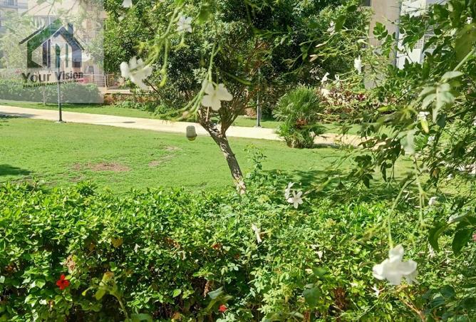 8407373 - صورة العقار 2