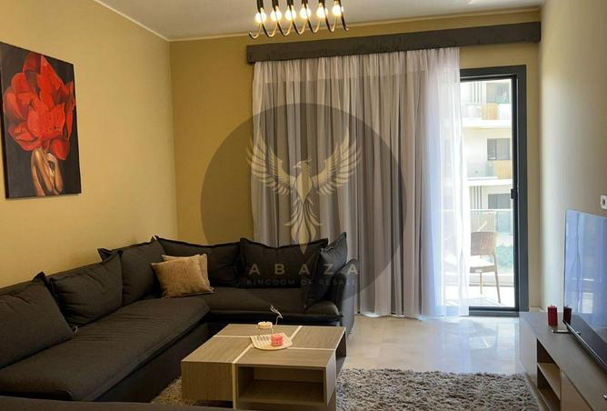 8558482 - Property Image 3