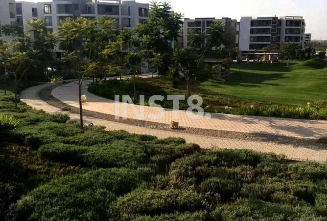 8284138 - Property Image 3