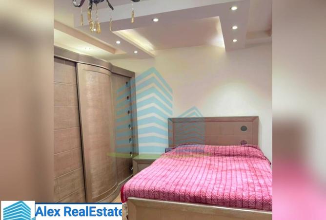 8428849 - Property Image 2