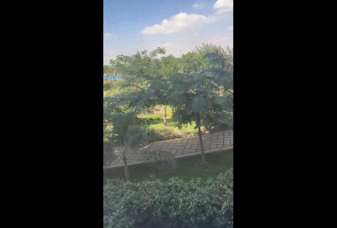 8178307 - Property Image 3