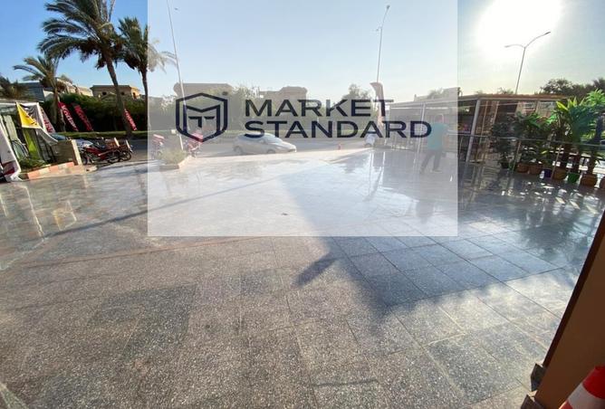 7935186 - Property Image 3