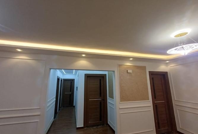 8237394 - Property Image 2