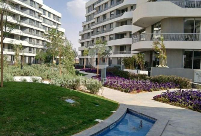 8018293 - Property Image 2