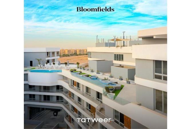 7955277 - صورة العقار 3