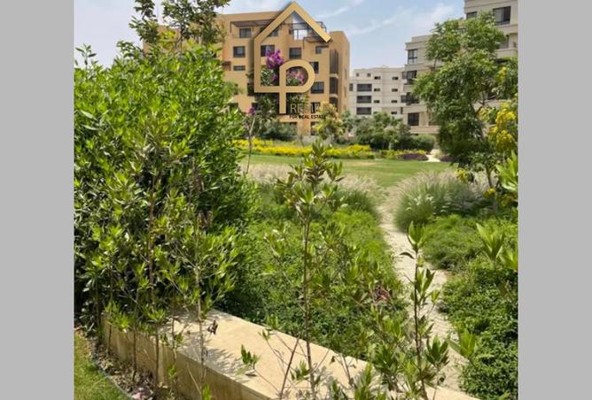 8205472 - صورة العقار 3