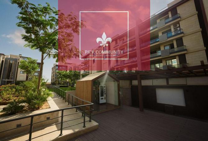 8166900 - Property Image 3