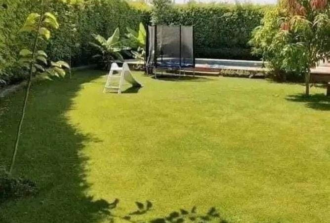 8165990 - صورة العقار 2