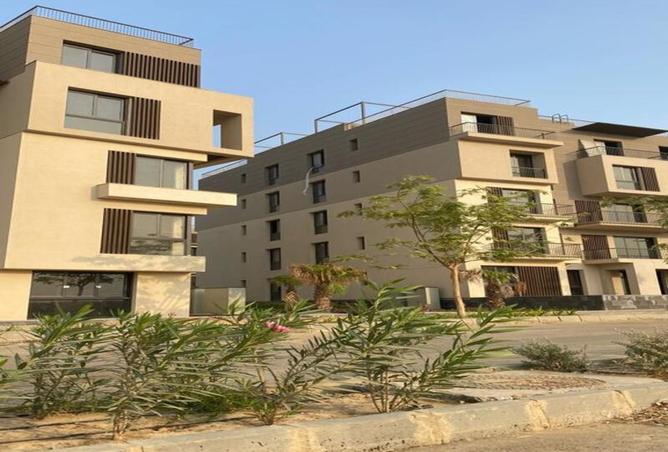 8237338 - Property Image 3