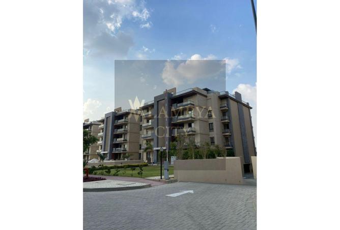 8215605 - Property Image 3