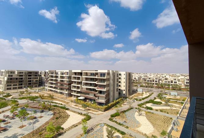 7974220 - صورة العقار 3