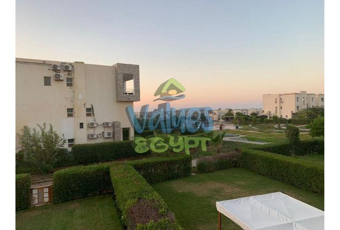 8172367 - صورة العقار 2