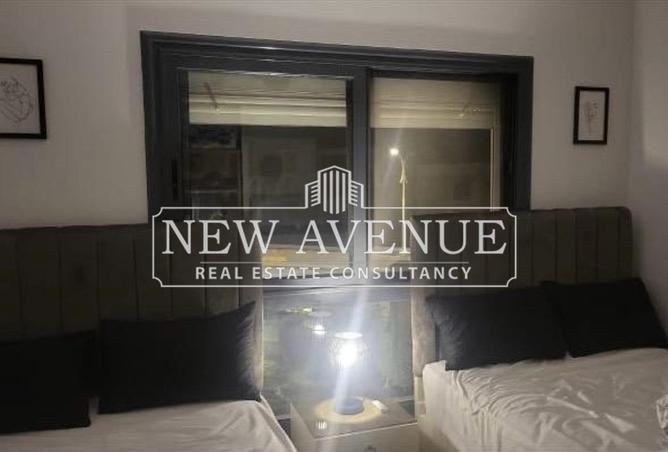 8387869 - Property Image 3