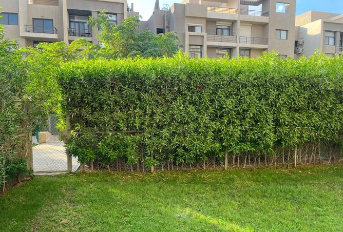 8261384 - صورة العقار 3