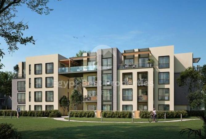 8053020 - Property Image 3
