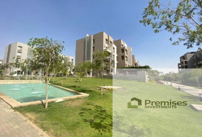 8254866 - Property Image 3